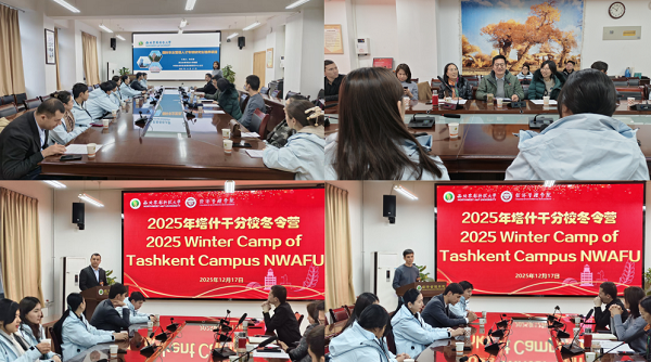 3.座谈会现场.png